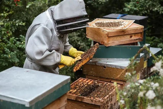 Waar wordt honing van gemaakt? - Honingwinkel